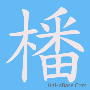 《橎》的筆順動畫寫字動畫演示