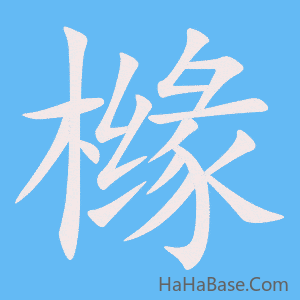《橼》的筆順動畫寫字動畫演示