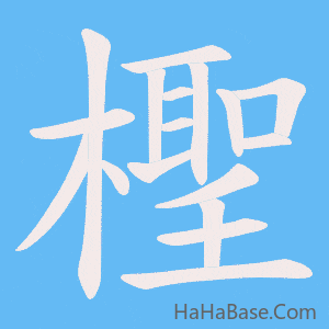 《檉》的筆順動畫寫字動畫演示