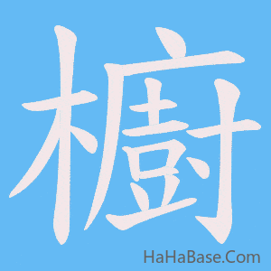 《櫥》的筆順動畫寫字動畫演示