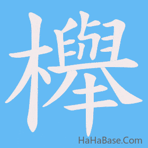 《櫸》的筆順動畫寫字動畫演示