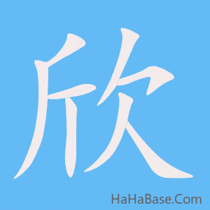 《欣》的筆順動畫寫字動畫演示