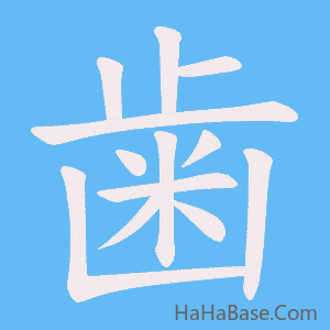 《歯》的筆順動畫寫字動畫演示