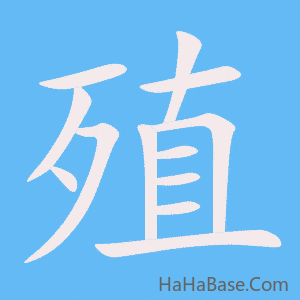 《殖》的筆順動畫寫字動畫演示