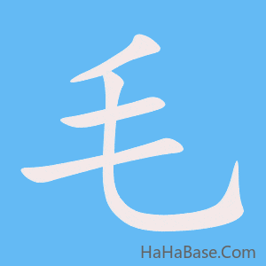 《毛》的筆順動畫寫字動畫演示