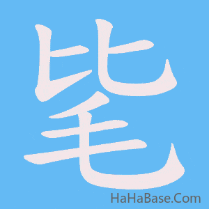 《毞》的筆順動畫寫字動畫演示