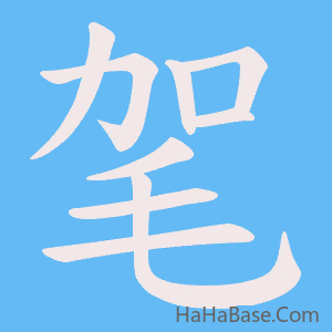 《毠》的筆順動畫寫字動畫演示