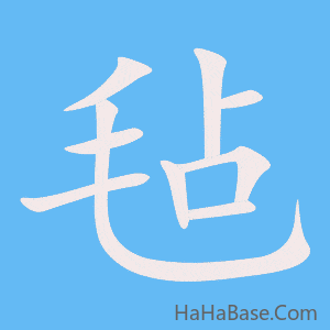 《毡》的筆順動畫寫字動畫演示