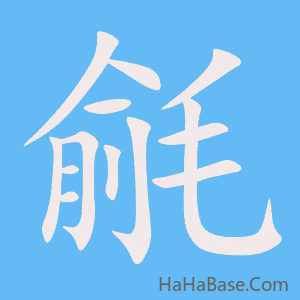 《毹》的筆順動畫寫字動畫演示