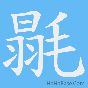 《毾》的筆順動畫寫字動畫演示