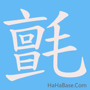 《氈》的筆順動畫寫字動畫演示