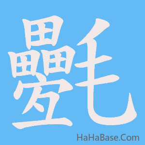 《氎》的筆順動畫寫字動畫演示