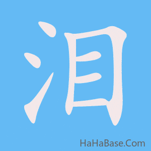 《泪》的筆順動畫寫字動畫演示