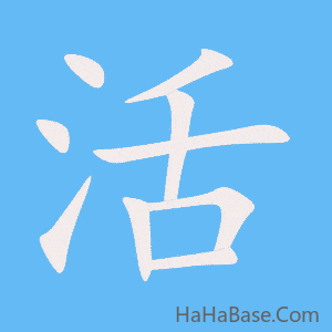《活》的筆順動畫寫字動畫演示