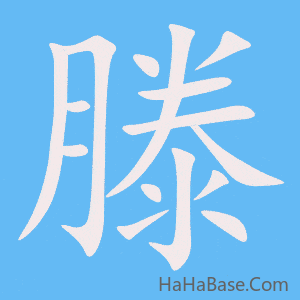 《滕》的筆順動畫寫字動畫演示