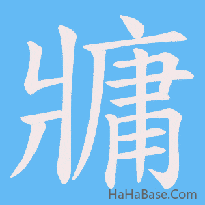 《牅》的筆順動畫寫字動畫演示
