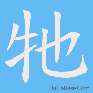 《牠》的筆順動畫寫字動畫演示