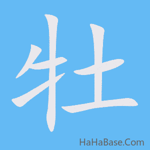 《牡》的筆順動畫寫字動畫演示