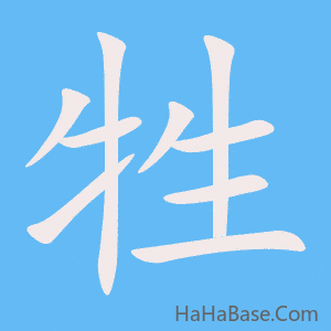 《牲》的筆順動畫寫字動畫演示