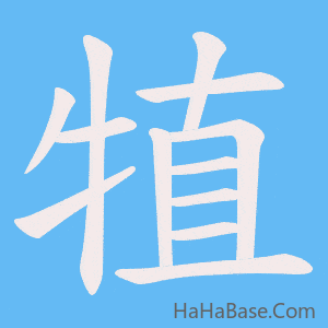 《犆》的筆順動畫寫字動畫演示