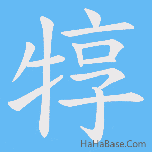 《犉》的筆順動畫寫字動畫演示