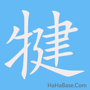 《犍》的筆順動畫寫字動畫演示