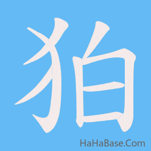 《狛》的筆順動畫寫字動畫演示