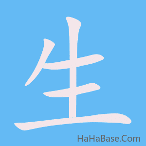 《生》的筆順動畫寫字動畫演示