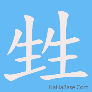《甡》的筆順動畫寫字動畫演示