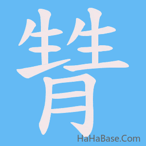 《甧》的筆順動畫寫字動畫演示