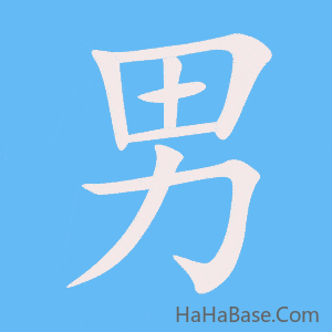 《男》的筆順動畫寫字動畫演示