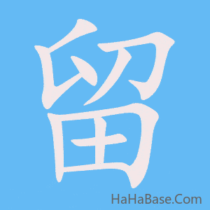 《留》的筆順動畫寫字動畫演示