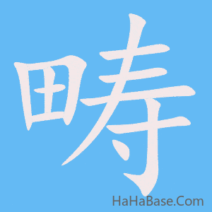 《畴》的筆順動畫寫字動畫演示