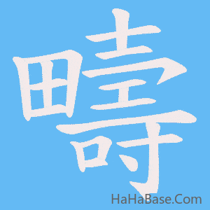 《疇》的筆順動畫寫字動畫演示
