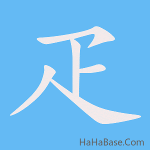 《疋》的筆順動畫寫字動畫演示