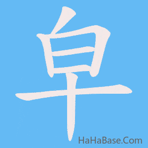 《皁》的筆順動畫寫字動畫演示