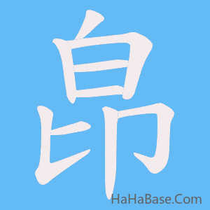 《皍》的筆順動畫寫字動畫演示