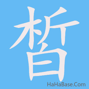 《皙》的筆順動畫寫字動畫演示