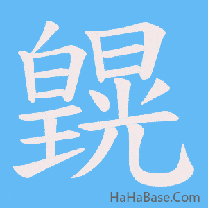 《皩》的筆順動畫寫字動畫演示
