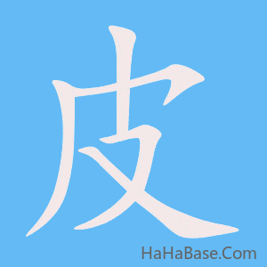 《皮》的筆順動畫寫字動畫演示