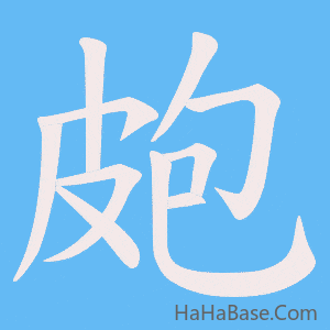 《皰》的筆順動畫寫字動畫演示