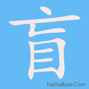 《盲》的筆順動畫寫字動畫演示