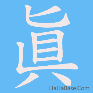 《眞》的筆順動畫寫字動畫演示