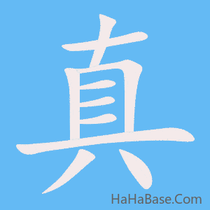 《真》的筆順動畫寫字動畫演示