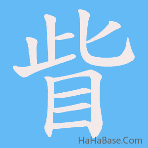《眥》的筆順動畫寫字動畫演示