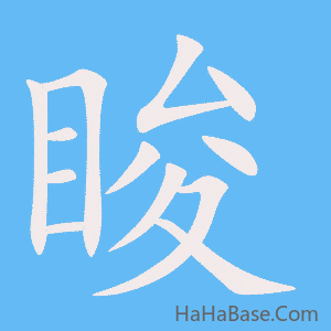 《睃》的筆順動畫寫字動畫演示