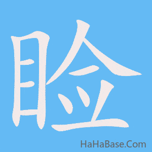 《睑》的筆順動畫寫字動畫演示