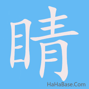 《睛》的筆順動畫寫字動畫演示