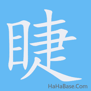 《睫》的筆順動畫寫字動畫演示