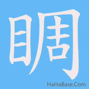 《睭》的筆順動畫寫字動畫演示